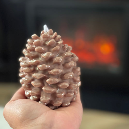 Fable & Flame Pinecones