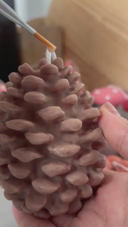 Fable & Flame Pinecones